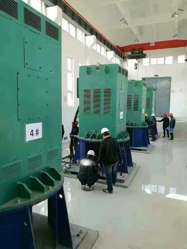 多祥镇某污水处理厂使用我厂的立式高压电机安装现场